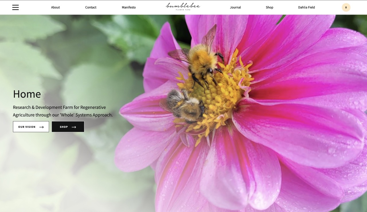 Bumblebee Flower Farm